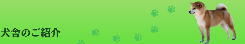 犬舎のご紹介