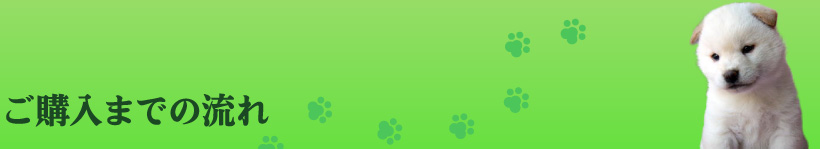 ご購入までの流れ